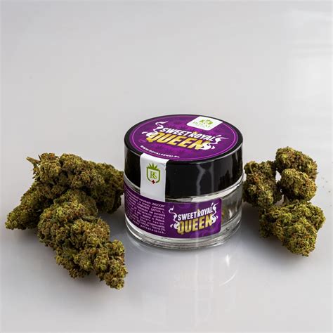 Susz Konopny CBD Sweet Royal Queen Royal Sensi 1g Jamaican Shop