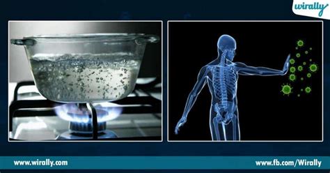 Surprising Benefits Of Drinking Hot Water Wirally