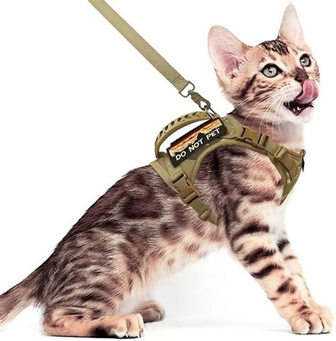 Nanappice Tactical Cat Harness And Leash For Walking