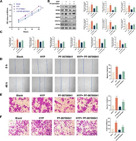 Pf Inhibits Proliferation Migration And Invasion Of