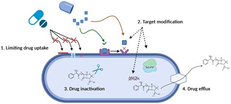 Applied Sciences Free Full Text Novel Antimicrobials Drug Delivery