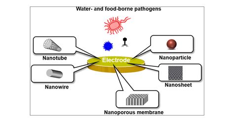 Nanostructured Electrochemical Biosensors For Label Free Detection Of