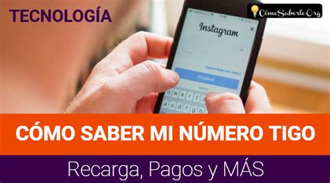 ᐈ Cómo Saber Mi Número De Viva En Dominicana 【servicios Y MÁs】