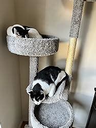 Amazon Prestige Cat Trees Neutral Staggered Cat Tower Cat