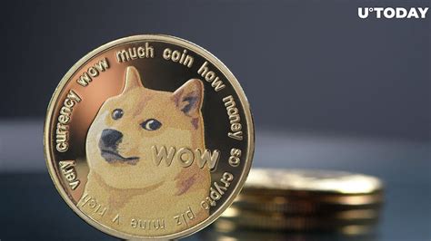 Ancient Dogecoin Wallet Suddenly Awakens After 9 Years Details