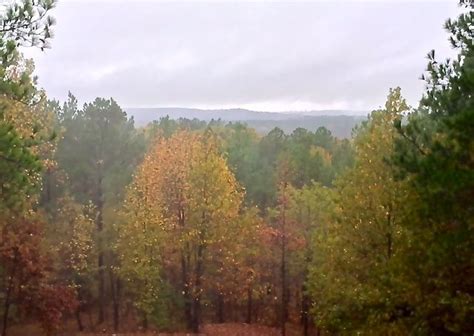 Fall Foliage Beavers Bend State Park. Mountain Vista cabin. #TravelOK ...