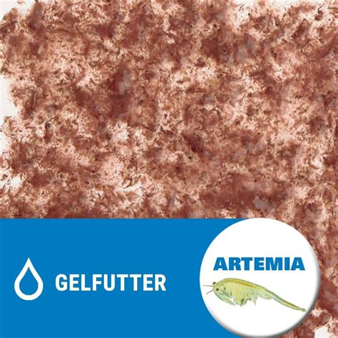 Tetra Tera Fresh Delica Artemia G Boutique En Ligne Olibetta