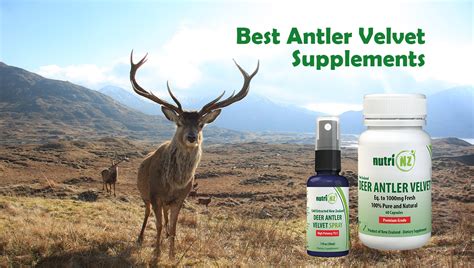 NutriNZ Deer Antler Velvet: Best Choice for Joint and Performance ...