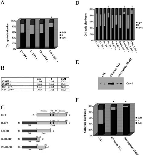 Recombinant expression of caveolin-1 induces G 0 /G 1 arrest in NIH 3T3 ... 