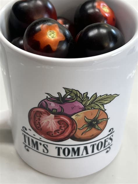 Bosque Blue Tomato Seeds | Organic - Tim's Tomatoes