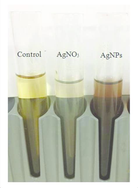 | Color changes in the supernatant of free bacterial cells (Bacillus... | Download Scientific ...