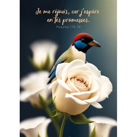 CARTE avec verset Oiseau et roses blanches Éditions Cedis