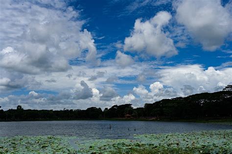 Celebrating Autumn in Bangladesh – Alochhobi