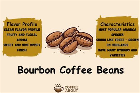 Bourbon Coffee A Detailed Guide To Super Arabica Variety