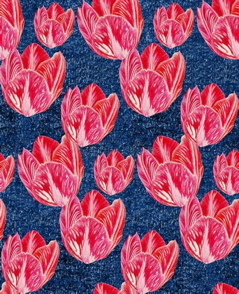 Tulip Pattern Drawing Flowers Pattern Red Seamless Botanical Drawing