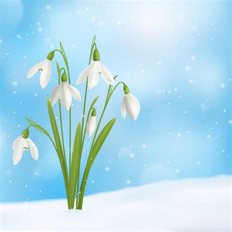 Free Vector | Realistic snowdrop flower snow composition with bunch of ...