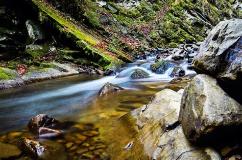 Premium Photo | Mountain river water landscape Wild river in mountains