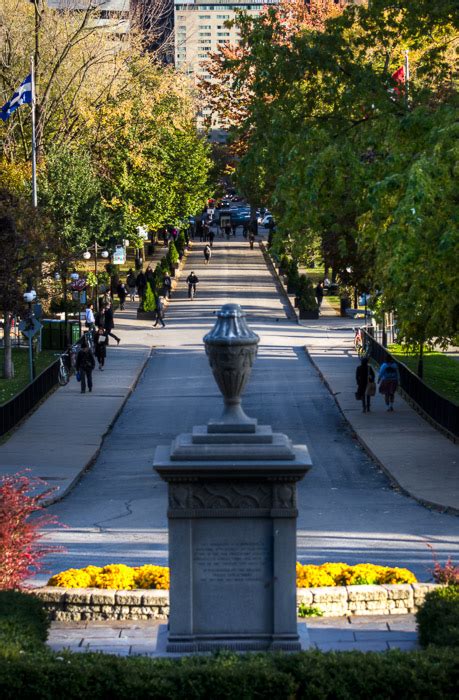 McGill University Campus – A few autumn pics