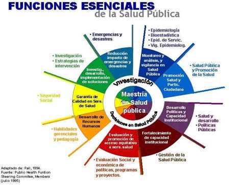 Mapa Conceptual De Las Funciones Esenciales De La Salud Publica