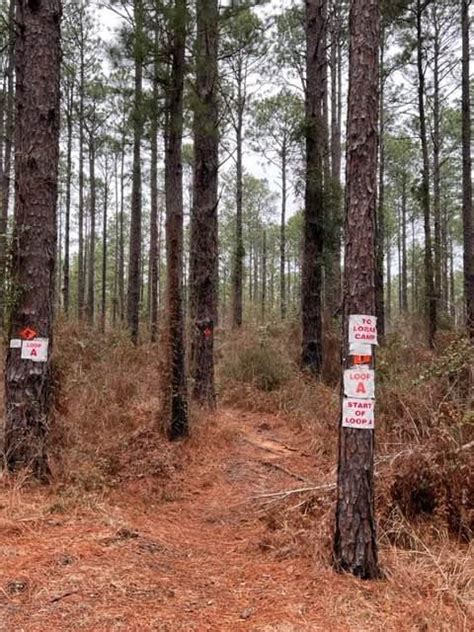 Claiborne "A" Loop, Louisiana : Off-Road Trail Map & Photos | onX Offroad