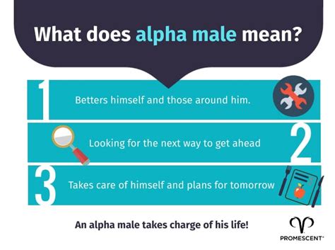 21 Step Guide To Becoming The Alpha Male Youve Always Wanted To Be Promescent