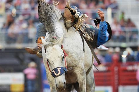 Facts About Ute Stampede Rodeo Facts Net