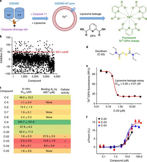 High Throughput Screen Identifies Disulfiram As An Inhibitor Of Gsdmd