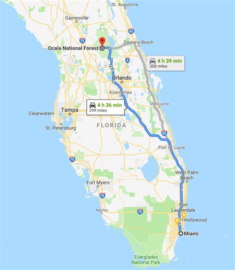 The Ocala National Forest: Road-trip and camping – ONDEVAN CAMPERVAN
