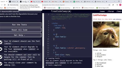 Freecodecamp Css Youtube