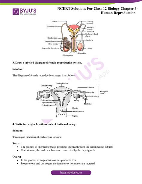 Biology Chapter 3 Class 12 Pdf