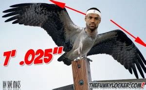 Lebron James Wingspan