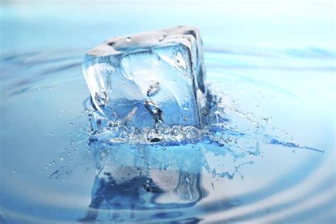 chilled stock image image  purity food drip drink