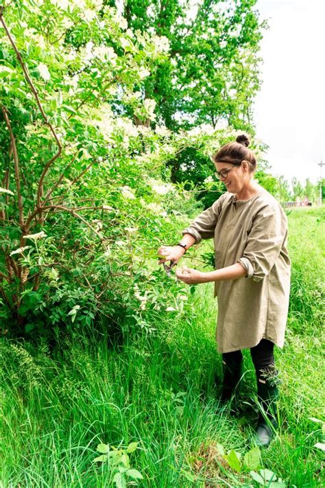 Wildplukken Met Yvette Van Boven Ik Vind Het Heel Leuk Om Gratis Eten