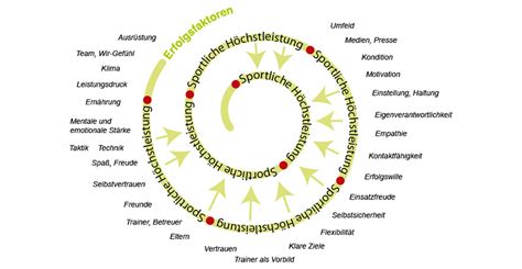 Sportmentaltraining Erfolgsfaktoren Heimsoeth Academy