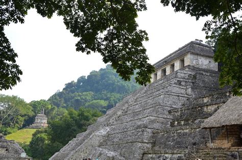 Premium Photo | Palenque a maya ancient city in southern mexico