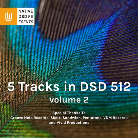 5 Tracks in DSD 512, Volume 2 - NativeDSD Music