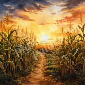 Corn Field Clipart Bundle Sunset Clipart Jpgs Instant Digital Download ...