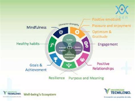 Well Being And Happiness Ecosystems Download Scientific Diagram