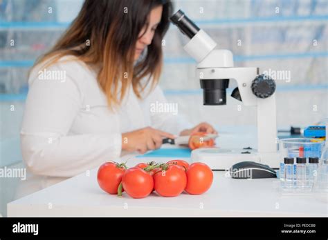 Checking Fruit And Vegetables For Harmful Elements Laboratory For