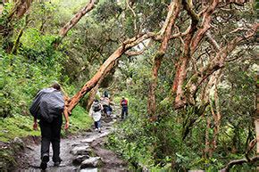 Tour D As Cusco Valle Sagrado De Los Incas Y Camino Inca Trail