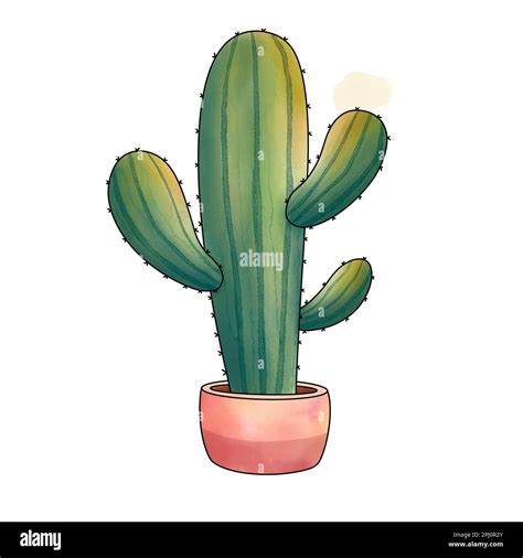 Watercolor Cactus In A Pot Clipart Hand Drawn Illustration For Your