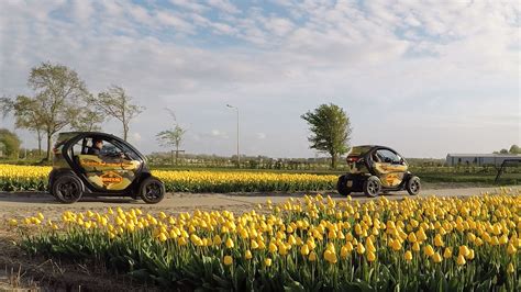 Discover the tulip fields in Holland with these sightseeing tours