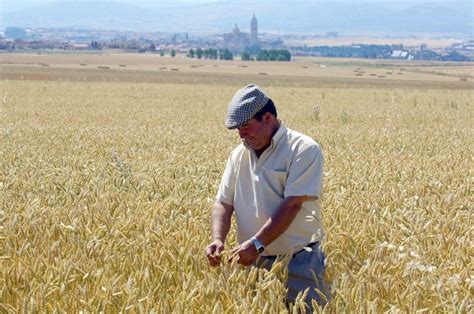 El campo seduce a fondos de inversión y socimis con rentabilidades