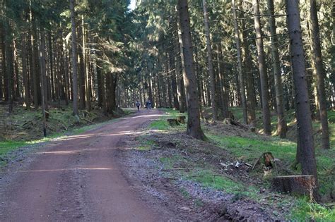 schönsten Pilgerwege im Naturpark Thüringer Wald Outdooractive