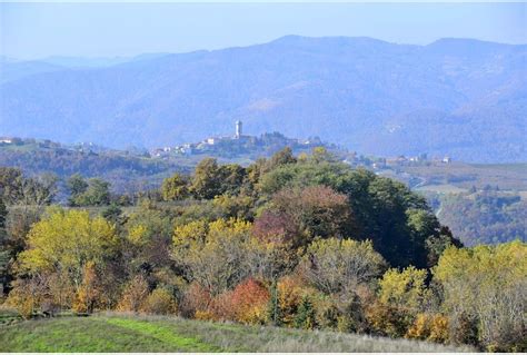 Alba Bra Langhe E Roero Si Candidano A Capitale Cultura