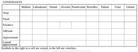 IPA Consonant Chart Diagram | Quizlet