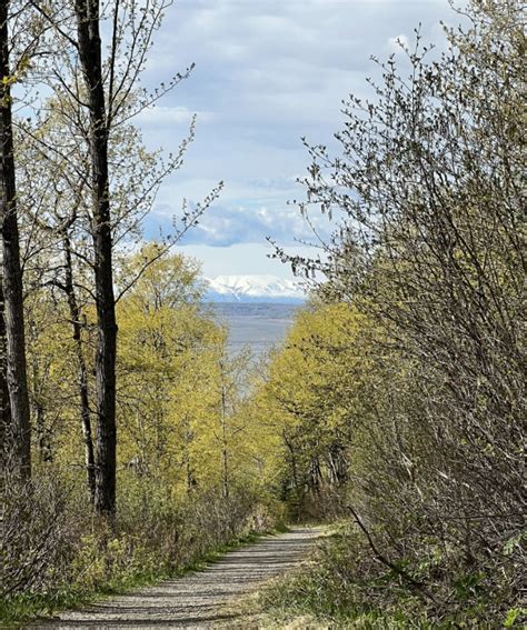 Top 5 Hiking Trails in Anchorage | RVshare