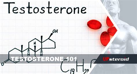 Chapitres Pour Tout Savoir Sur La Testost Rone Super Steroide To