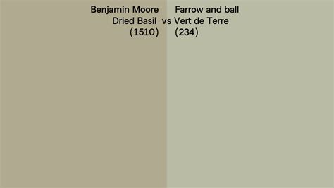 Benjamin Moore Dried Basil Vs Farrow And Ball Vert De Terre