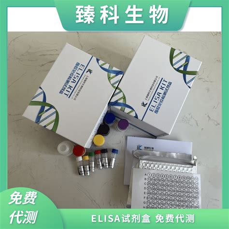 Fgf Elisa